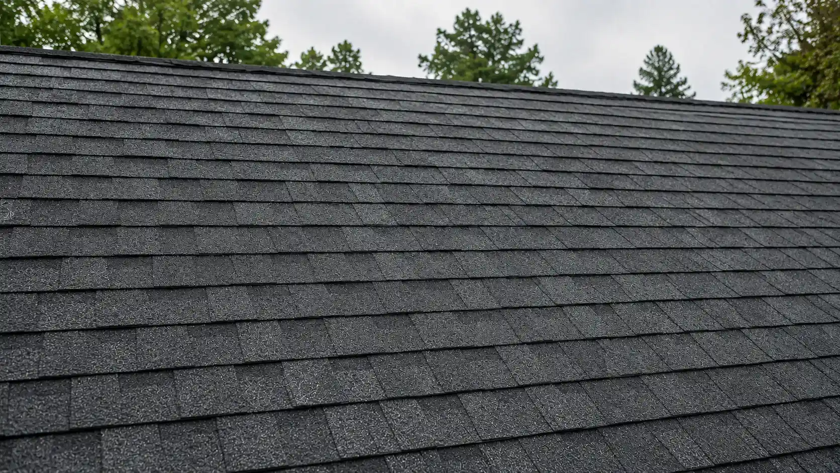 After Roof Soft Washing